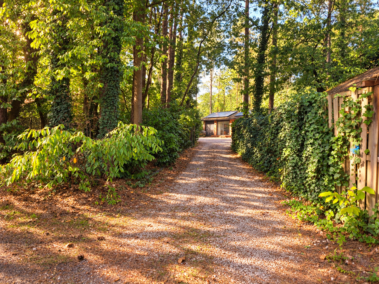Een grindpad door een zonnige, bosrijke tuin met hagen en bomen leidt naar een klein gebouw.