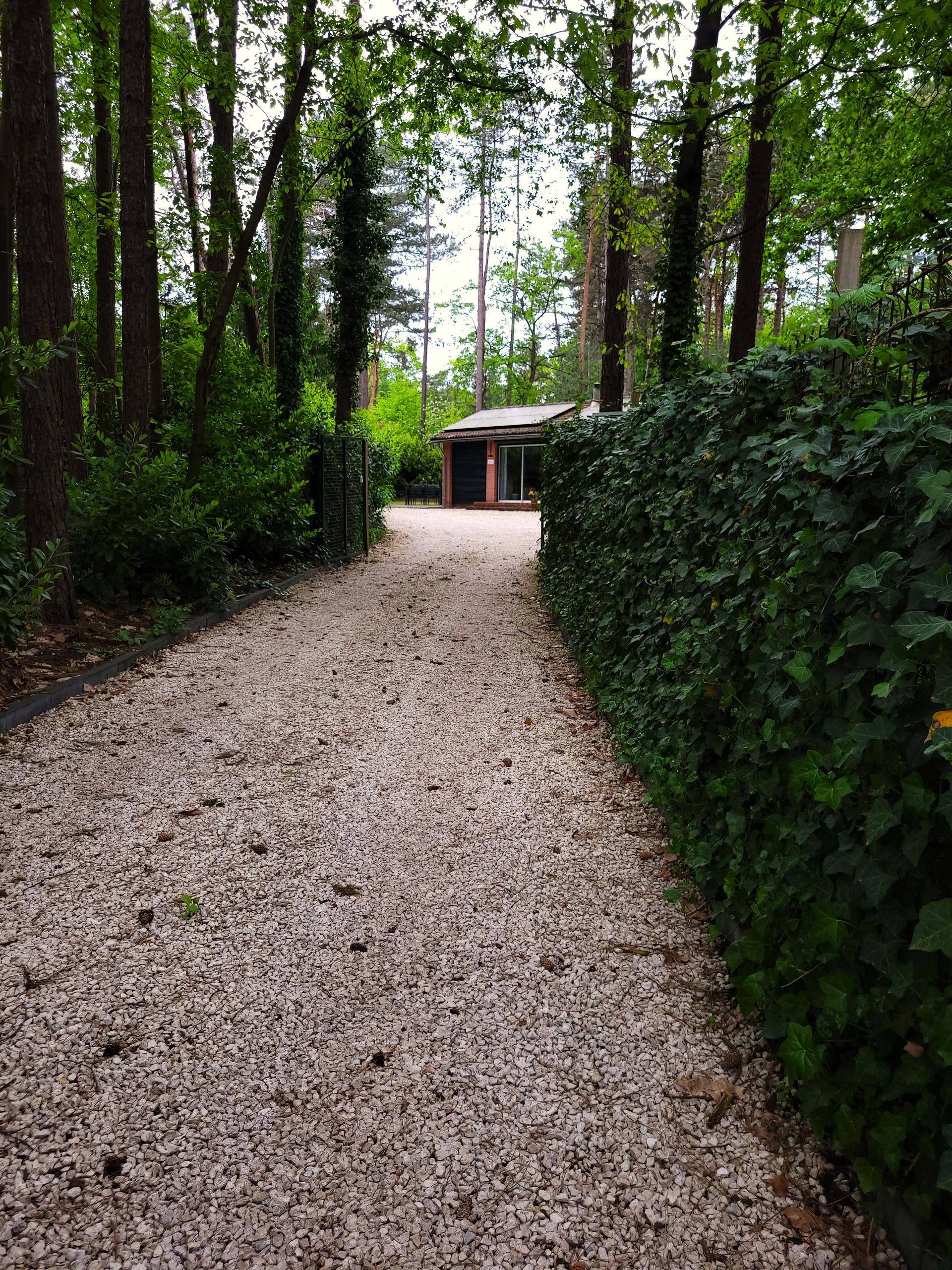 Secret Wellness | Boszicht | Natuur