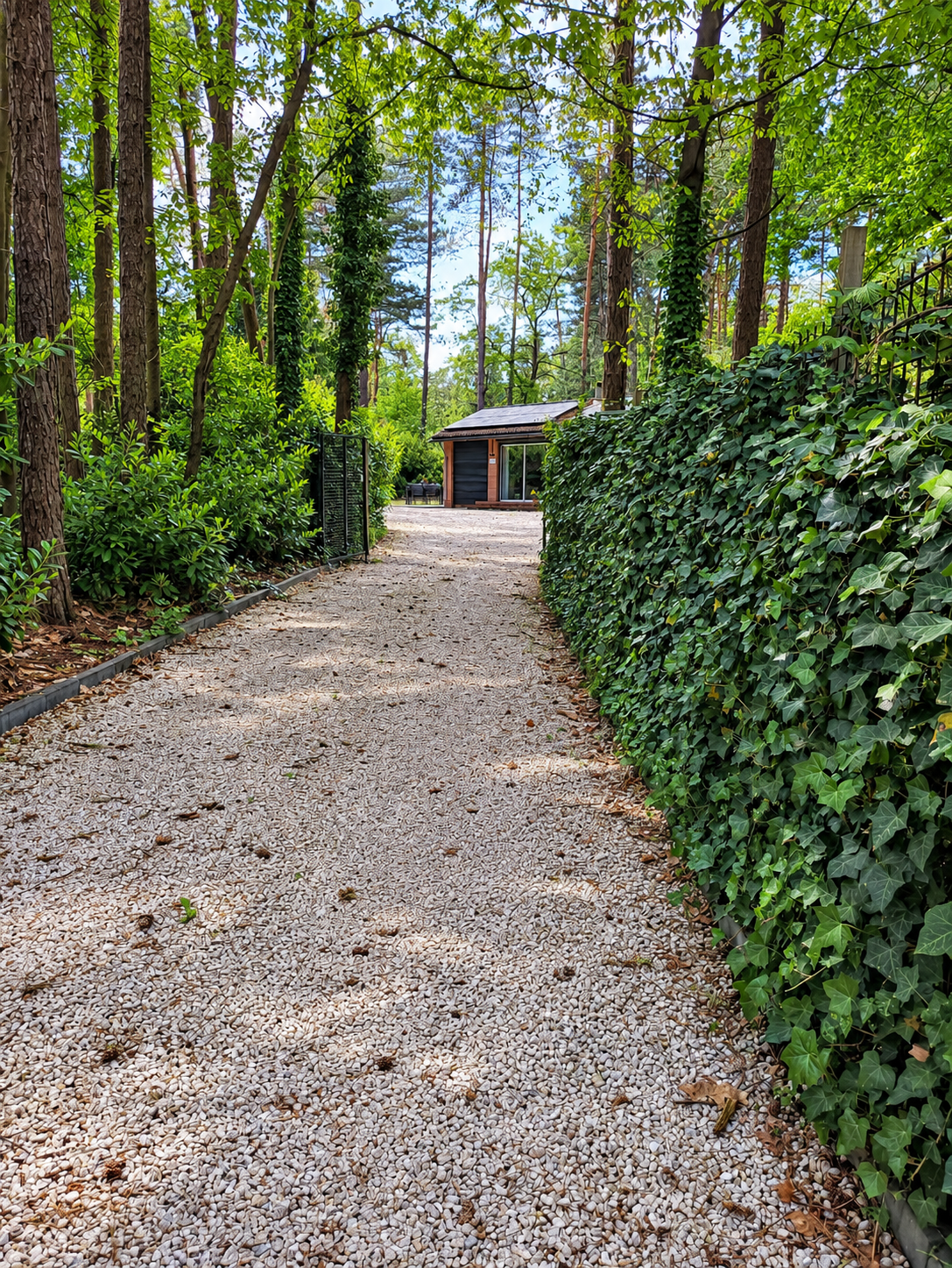Een grindpad door een lommerrijke tuin leidt naar een klein gebouw, omgeven door hoge bomen en een met klimop begroeide haag.