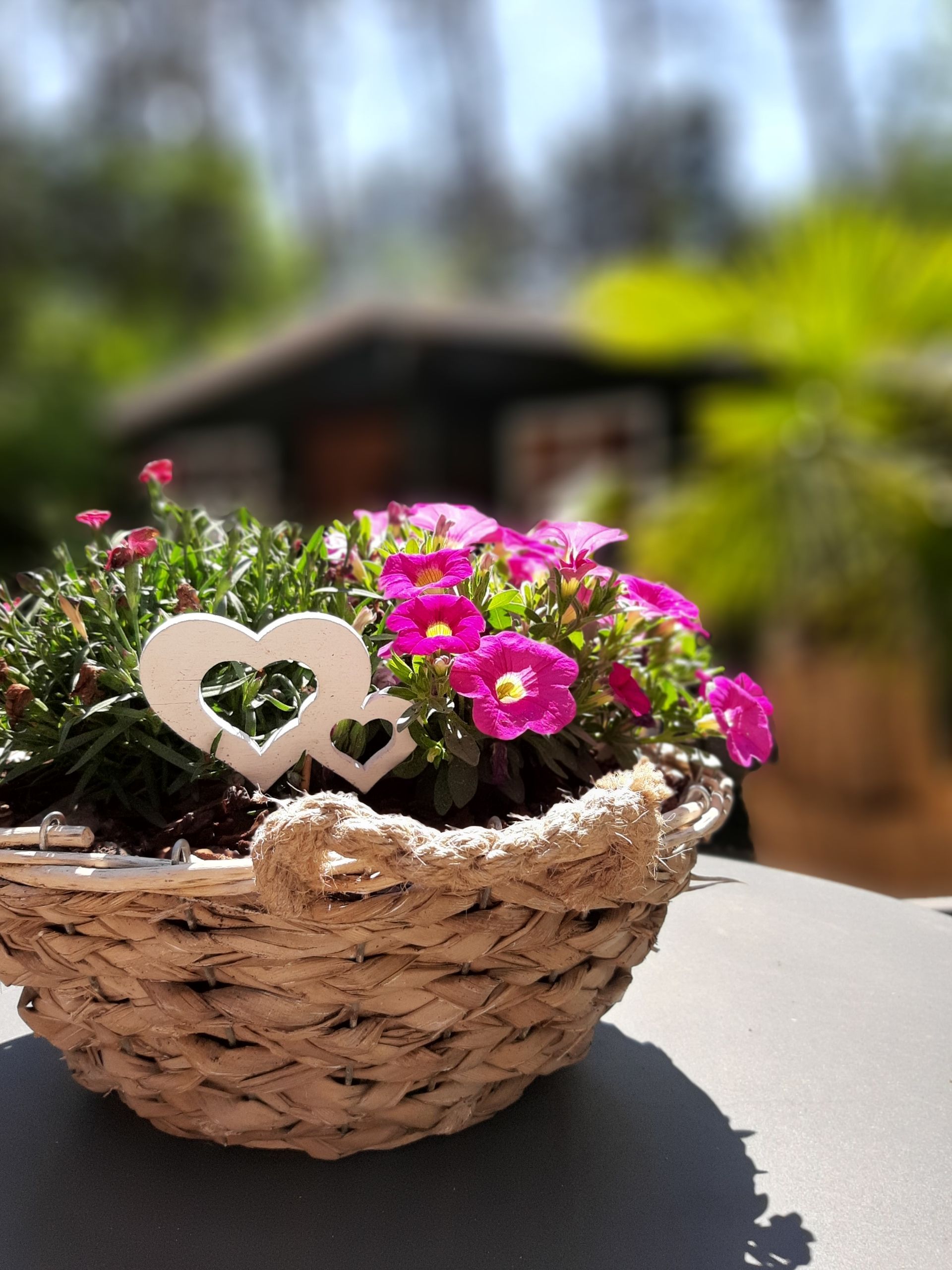 Secret Wellness | Vakantie | Jacuzzi | Wellness