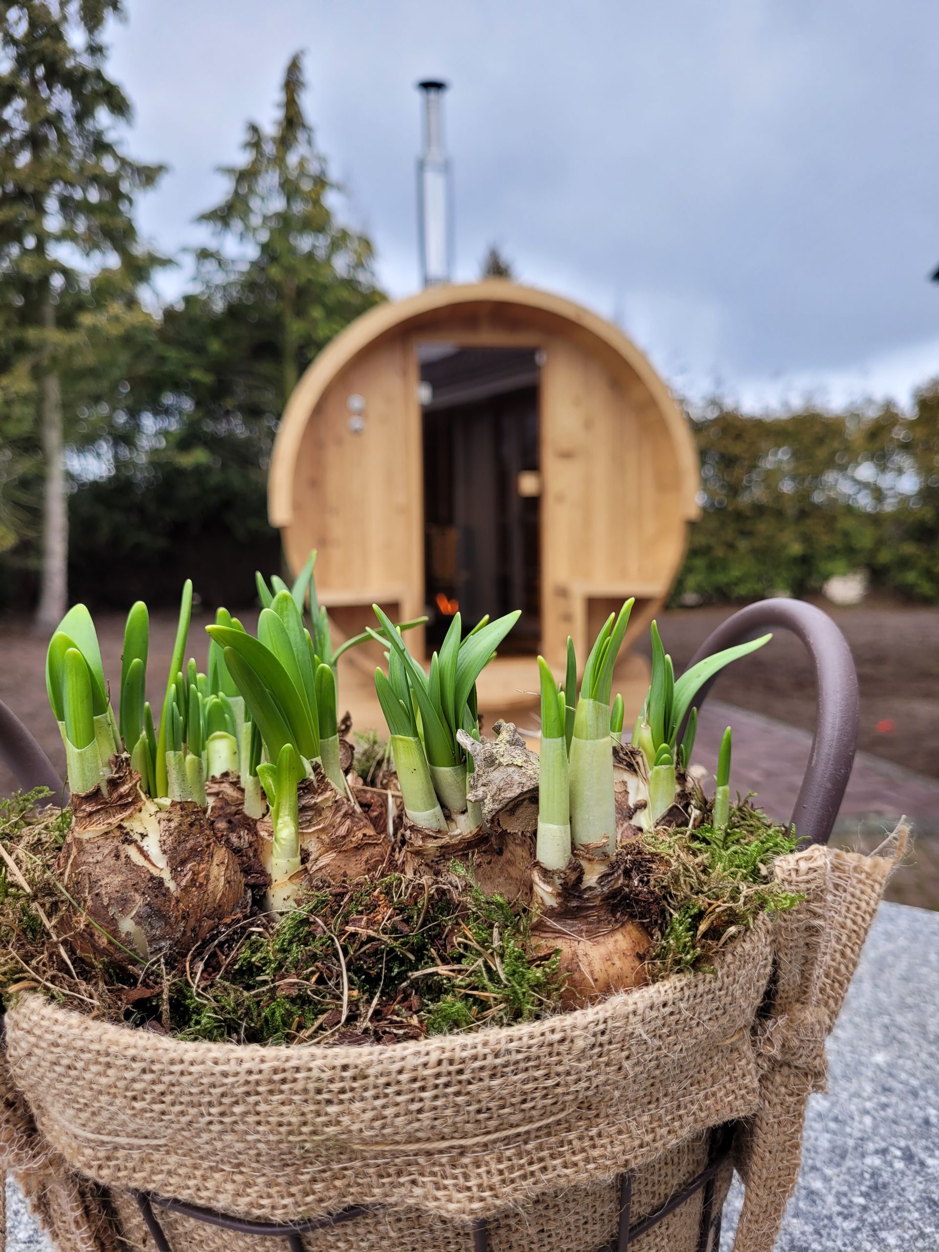 Secret Wellness | Lonneker | Tuin | Barrelsauna