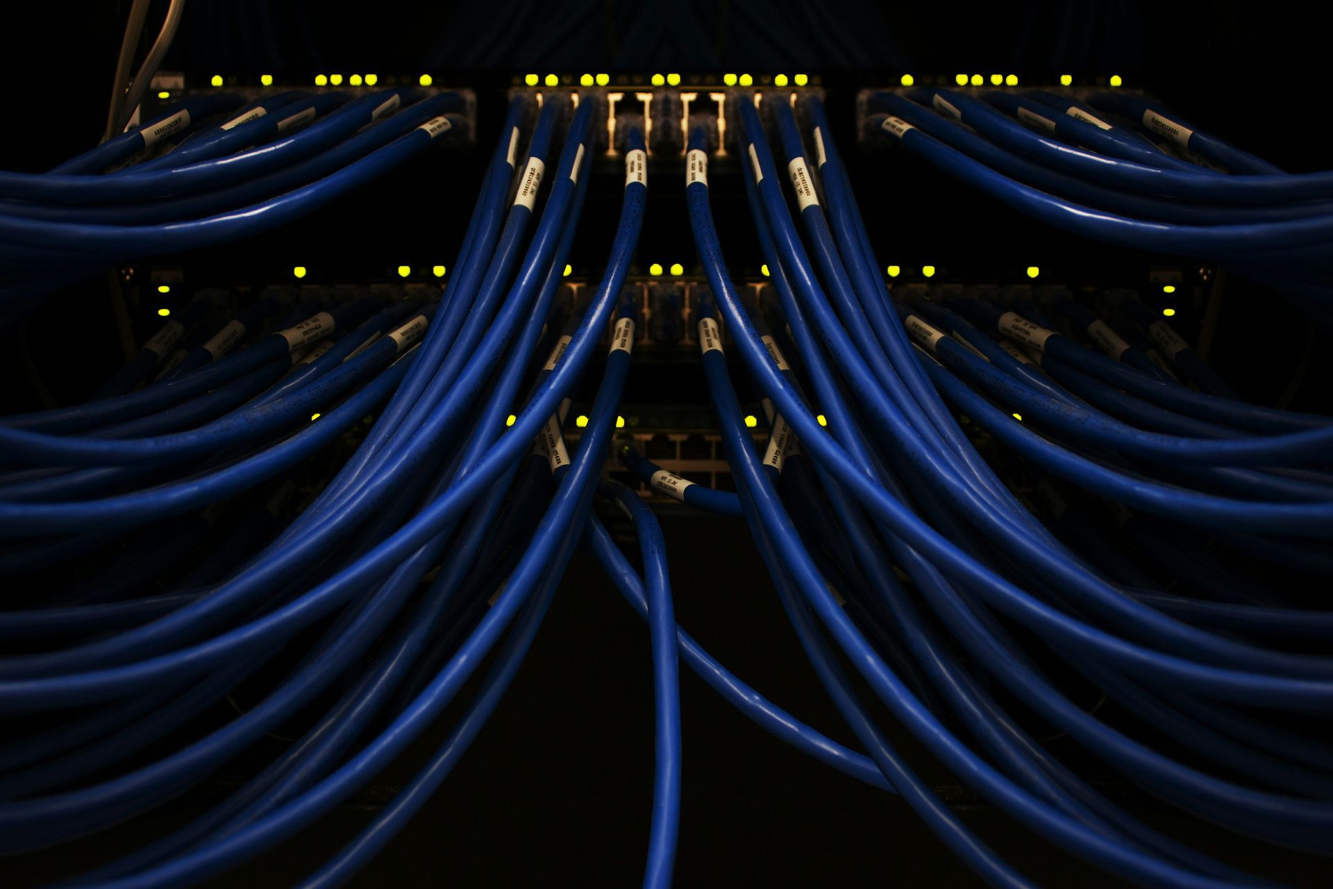 Blue network cables plugged into a server rack with yellow status lights on top