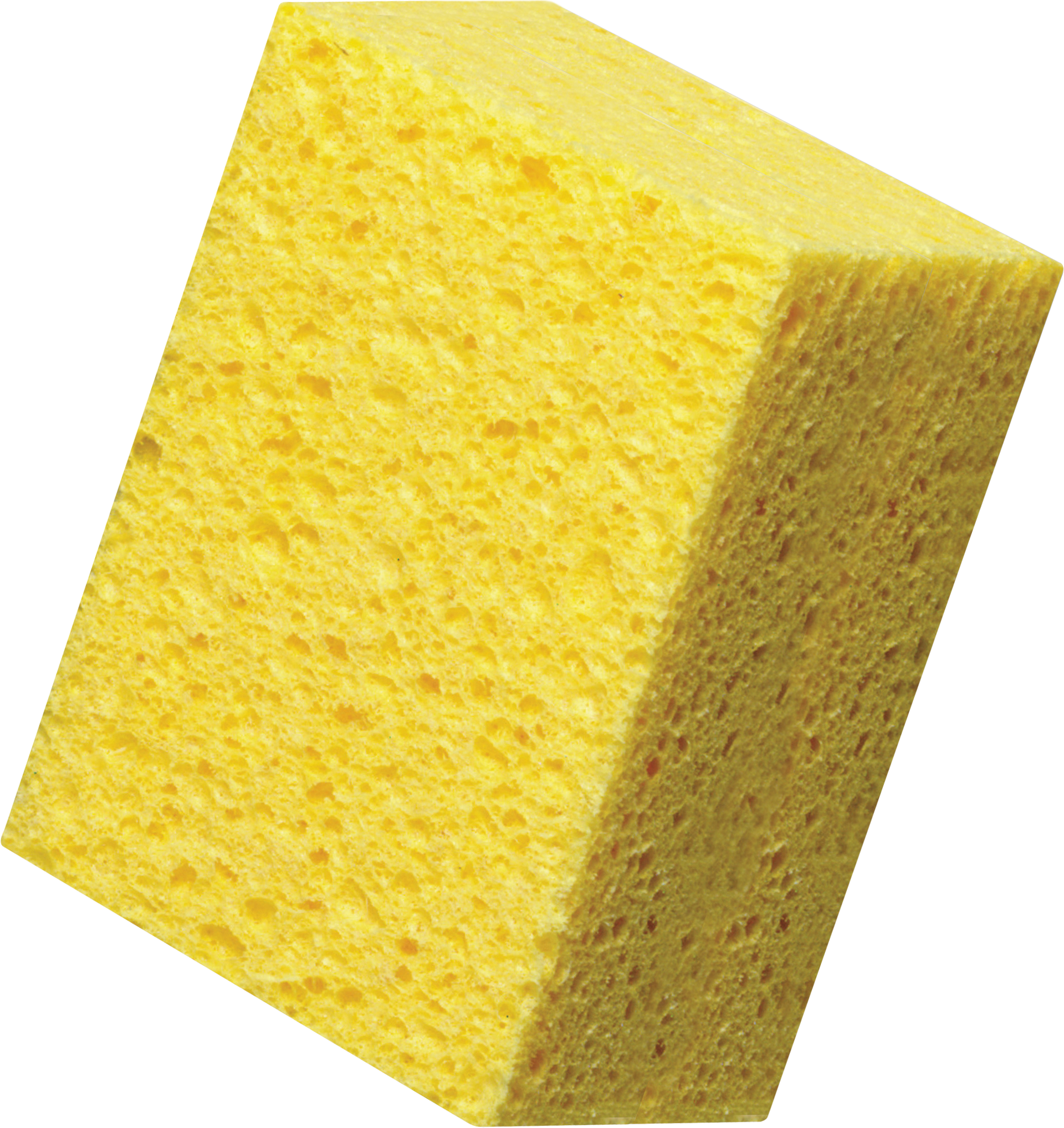SPUGNA