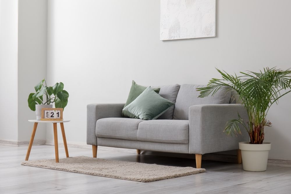 Minimalist living room with a gray sofa, green pillows, potted plants, and a small side table on a rug.