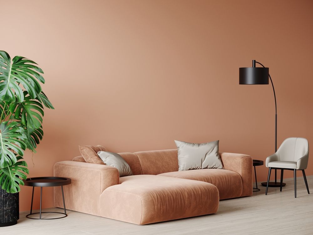 Minimalist living room with a peach sofa, white chair, black floor lamp, and large green plant against a tan wall