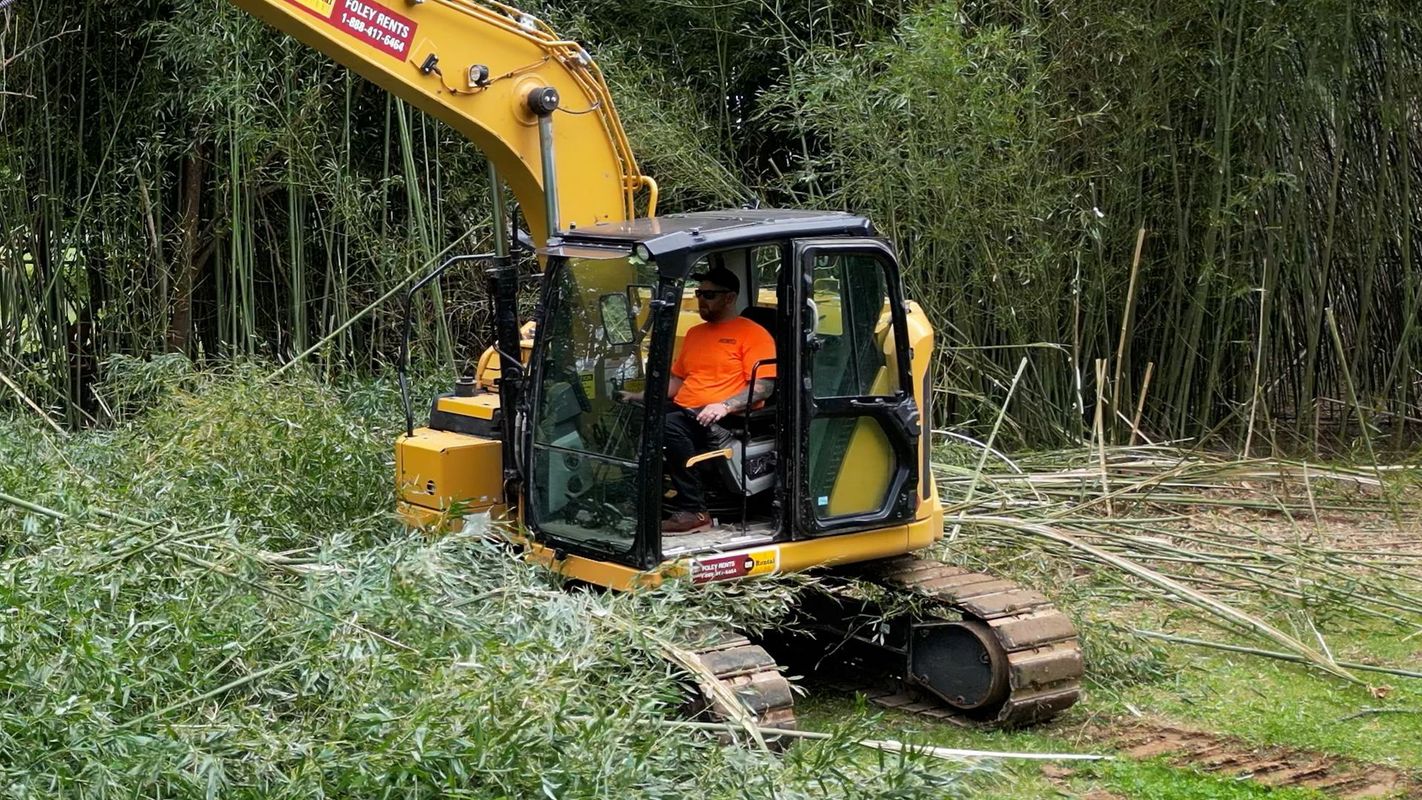 Yellow excavator clearing brush in a wooded area, with an operator in an orange jacket inside the cab