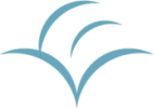 favicon estetica venere
