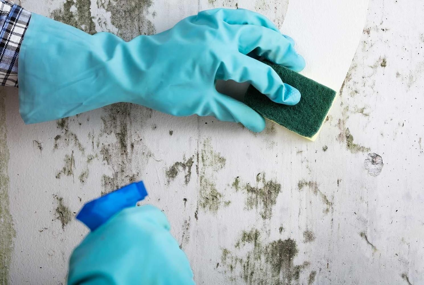A Person Wearing Blue Gloves is Cleaning a Wall With a Sponge — South Pacific Cleaning in Bentley Park, QLD