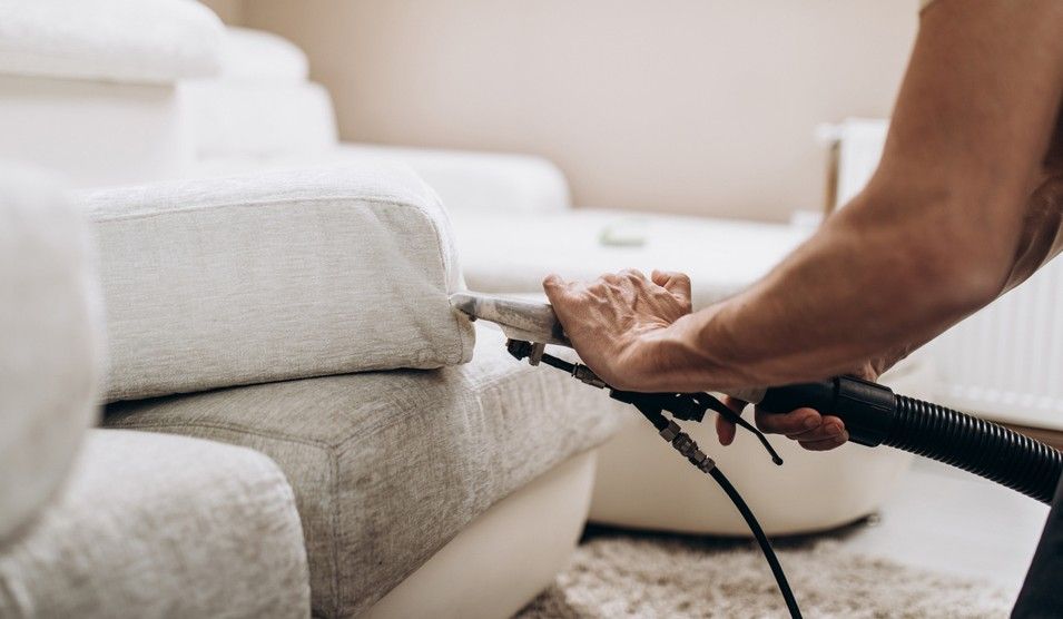 A Person is Cleaning a Couch With a Vacuum Cleaner — South Pacific Cleaning in Smithfield, QLD