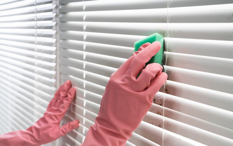 A Person Wearing Pink Gloves is Cleaning Blinds With a Green Sponge — South Pacific Cleaning in Smithfield, QLD