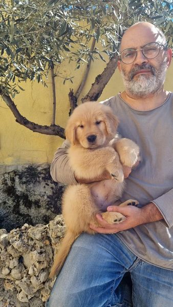 Un uomo tiene in braccio un soffice cucciolo dorato in un ambiente interno, accanto a uno sfondo dipinto con motivi vegetali.