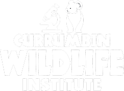 Currumbin Wildlife Institute