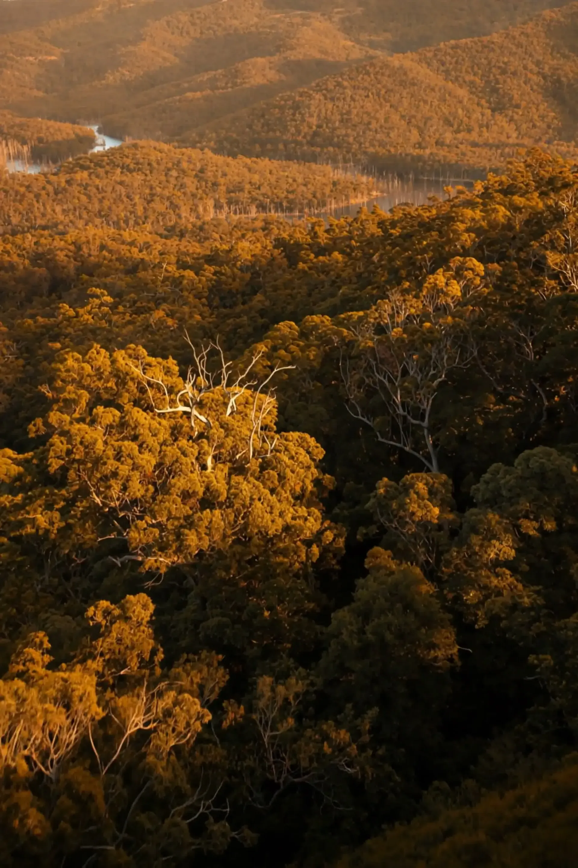 Valley View