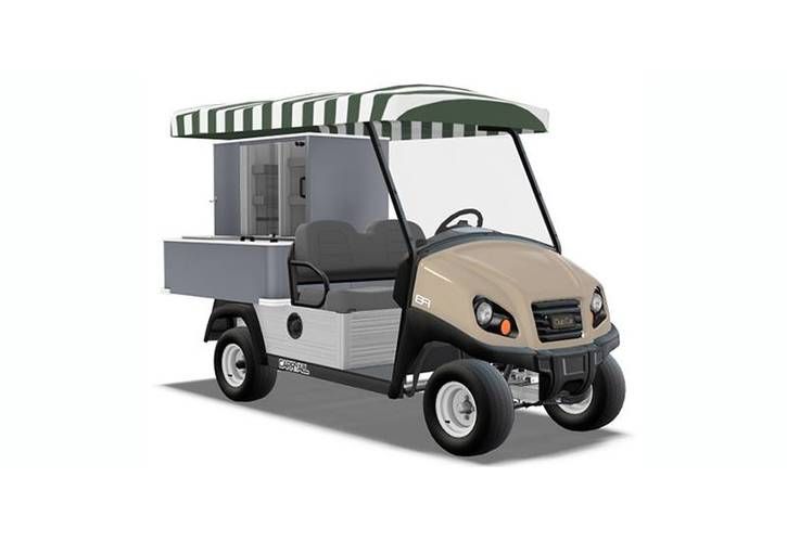 Compact utility cart with green striped canopy and rear cargo bed on a white background