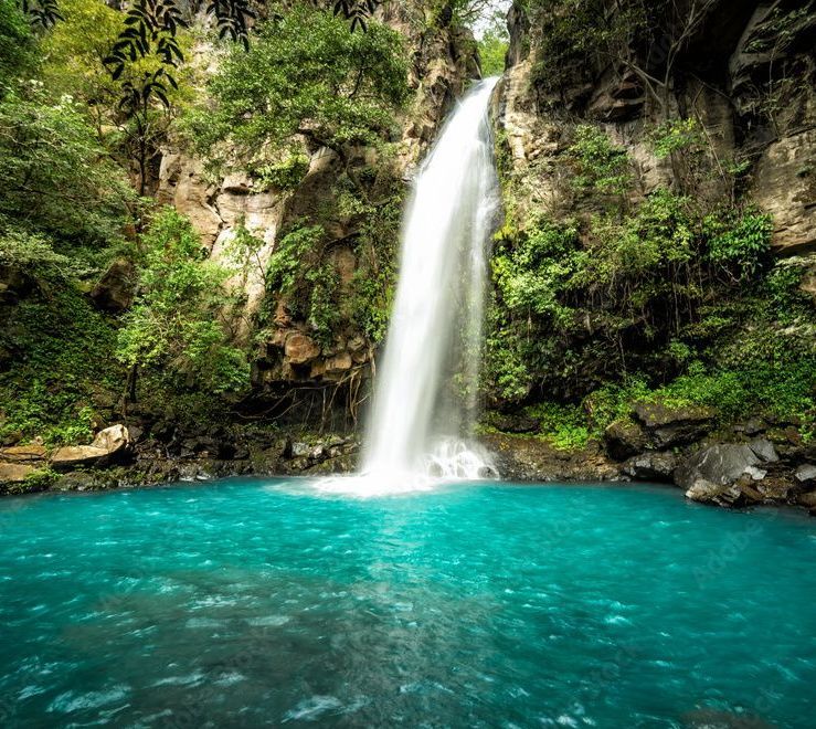 A waterfall in the middle of a lush green forest