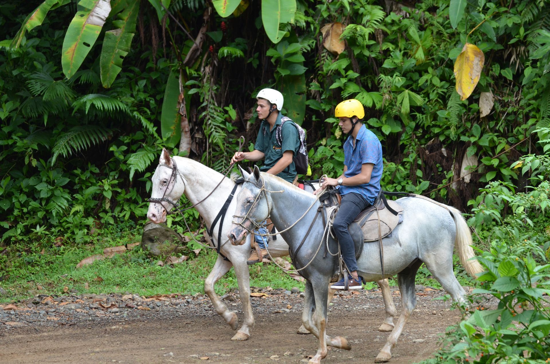 Two men are riding horses down a dirt road.
