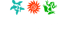 Costa Rica Travel Experience