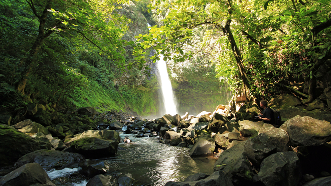 A waterfall is surrounded by trees and rocks in the middle of a forest.