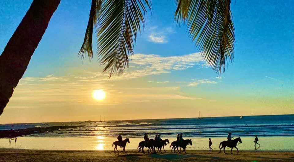 A group of people riding horses on a beach at sunset.