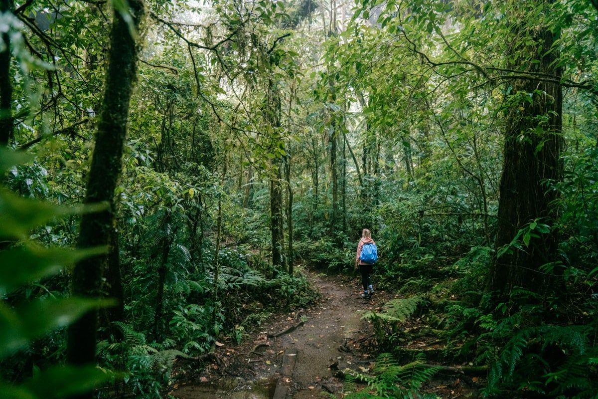 Monteverde Cloud Forest