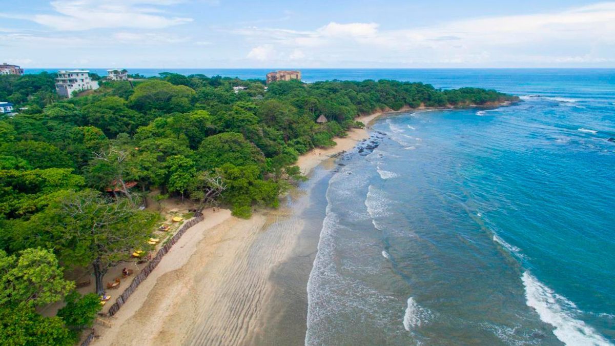 An aerial view of a beach surrounded by trees and waves.