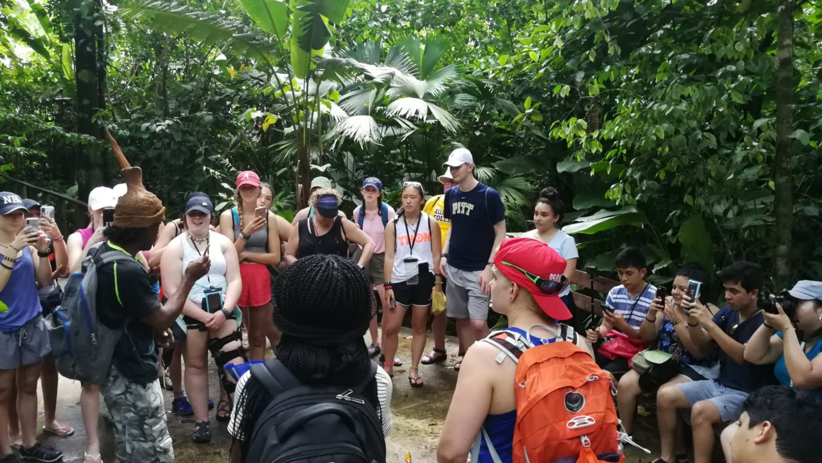 A group of people are standing in a circle in the woods.