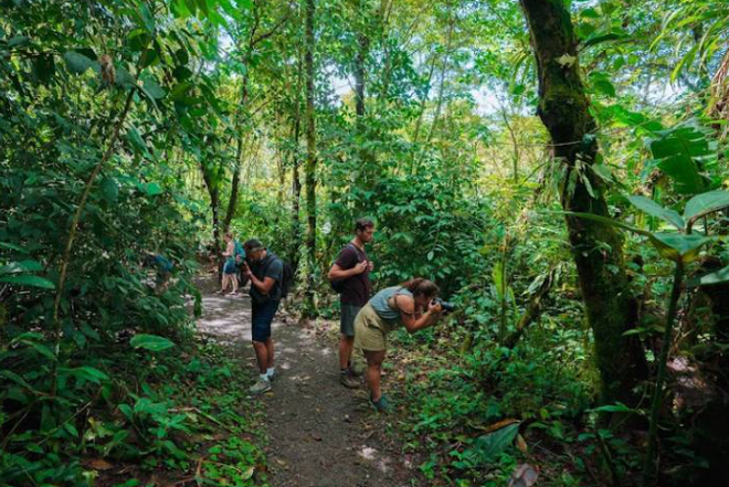 A group of people are walking down a path in the woods.