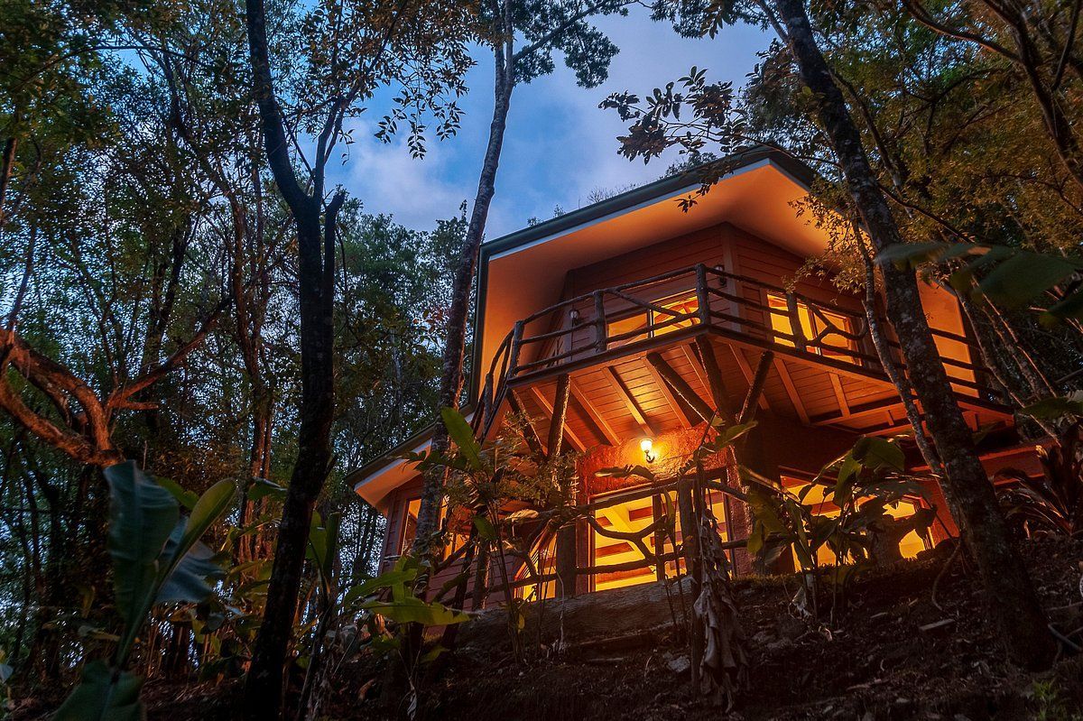A small house is sitting on top of a hill in the middle of a forest.