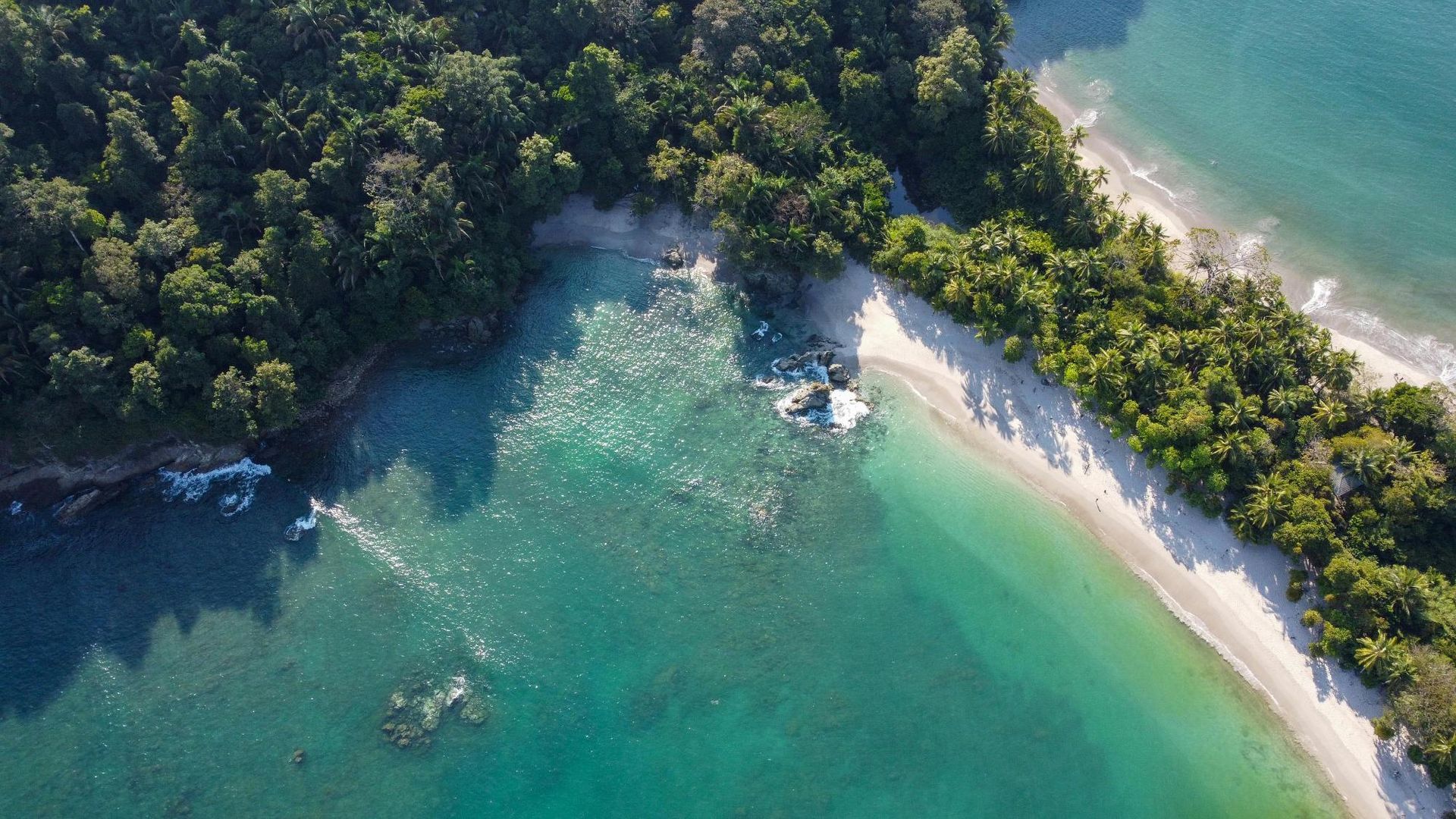 An aerial view of a beach surrounded by trees and water.