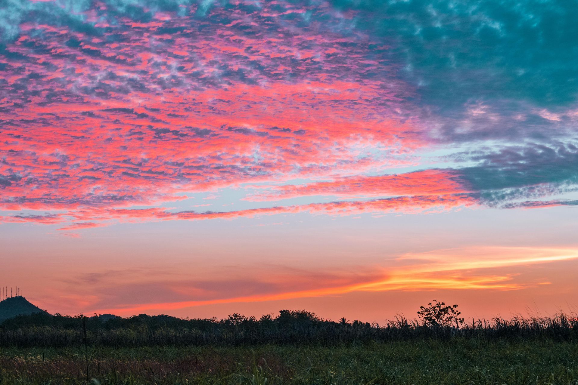 A sunset over a field with a tree in the foreground.
