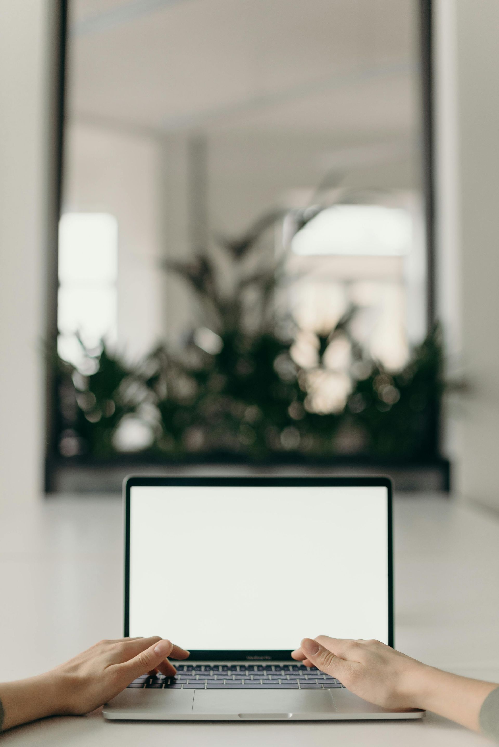 someone sitting at a laptop 