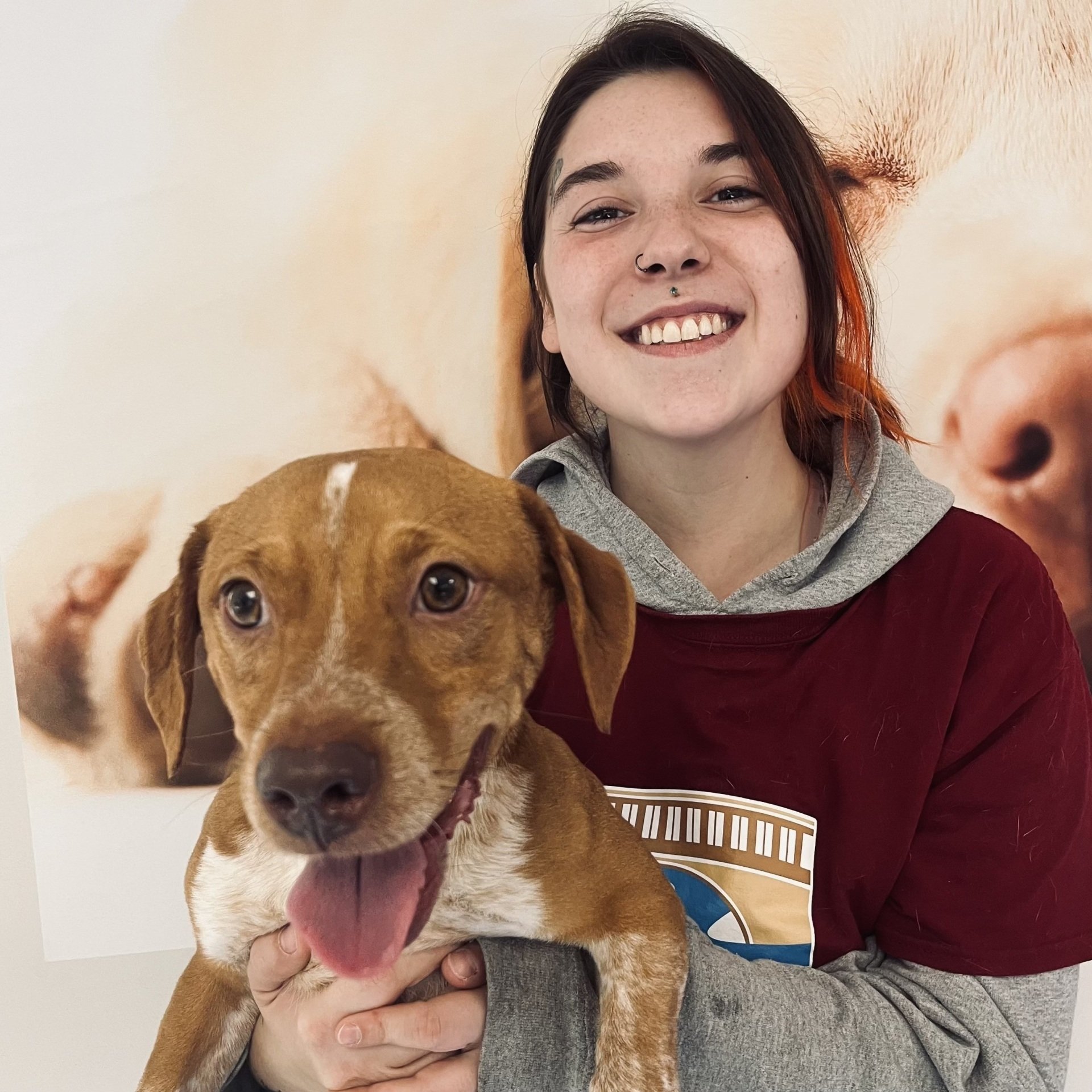 The Valley Pet Resort and Spa Meet the Team