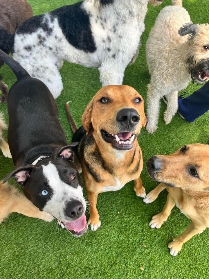 daycare