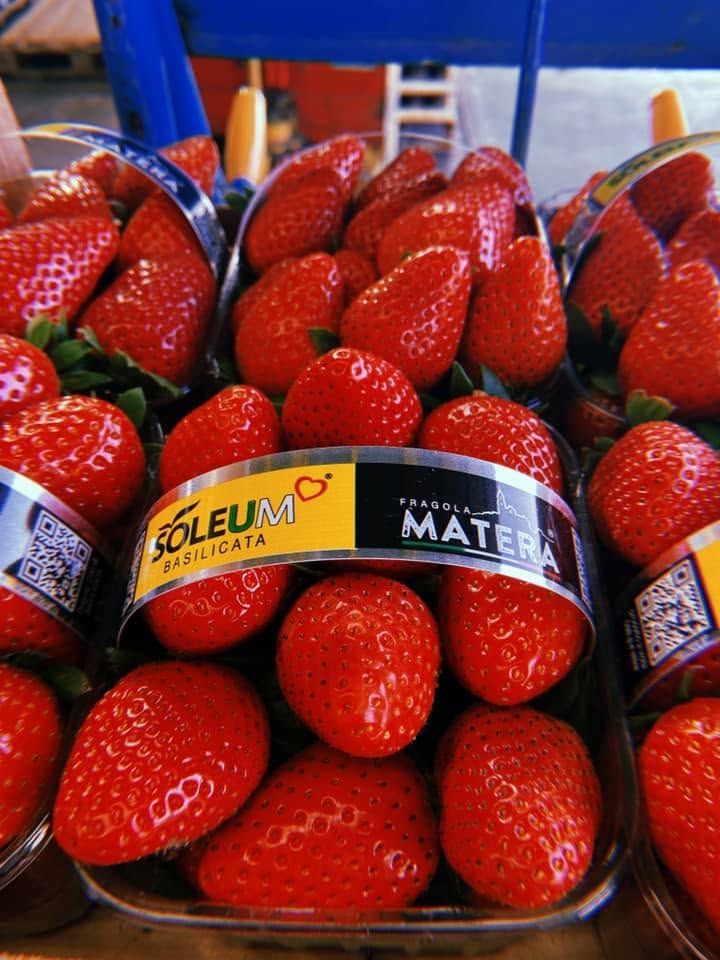 Confezioni di plastica trasparente con fragole rosse mature ed etichette di marca, esposte al mercato