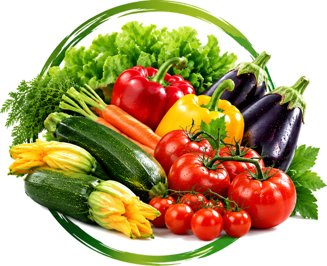 Verdure fresche assortite, tra cui peperoni, pomodori, melanzane, zucchine e fiori, su sfondo bianco
