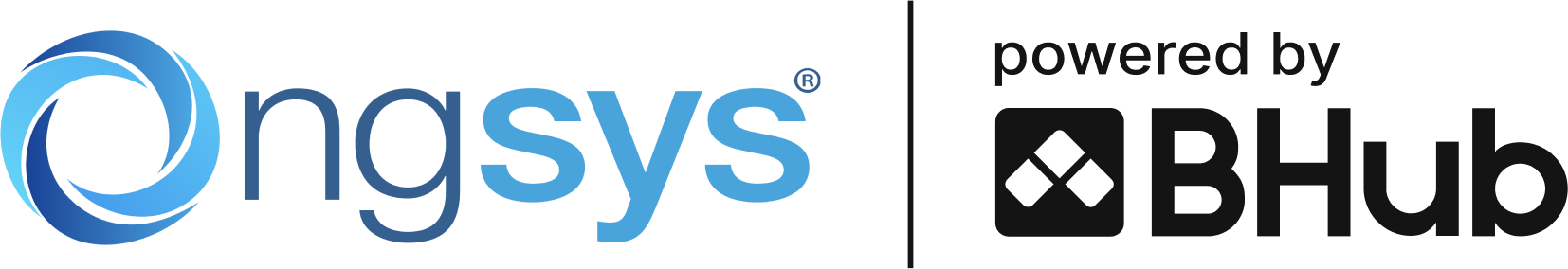 Ongsys Sistemas