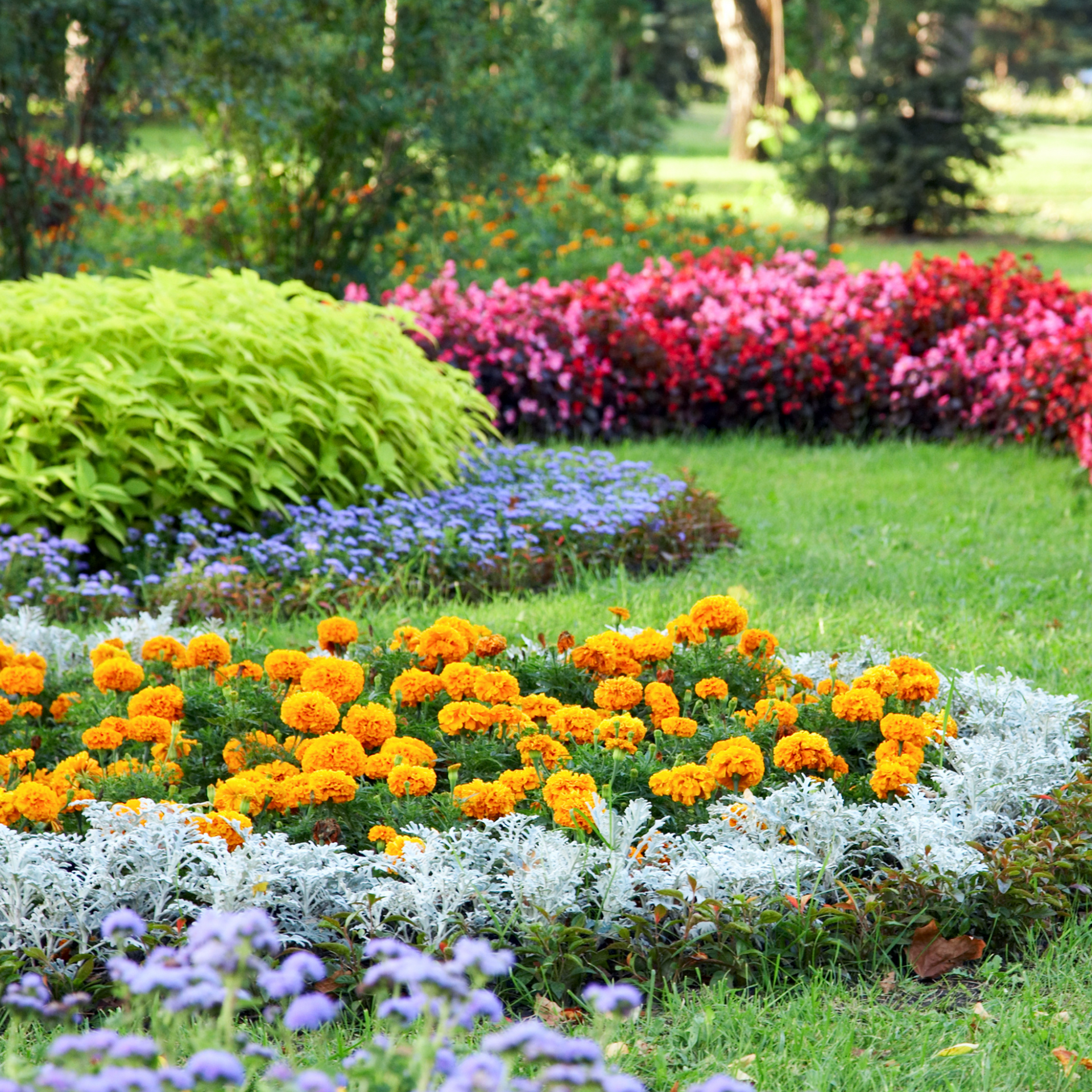 A garden design with many different types of flowers
