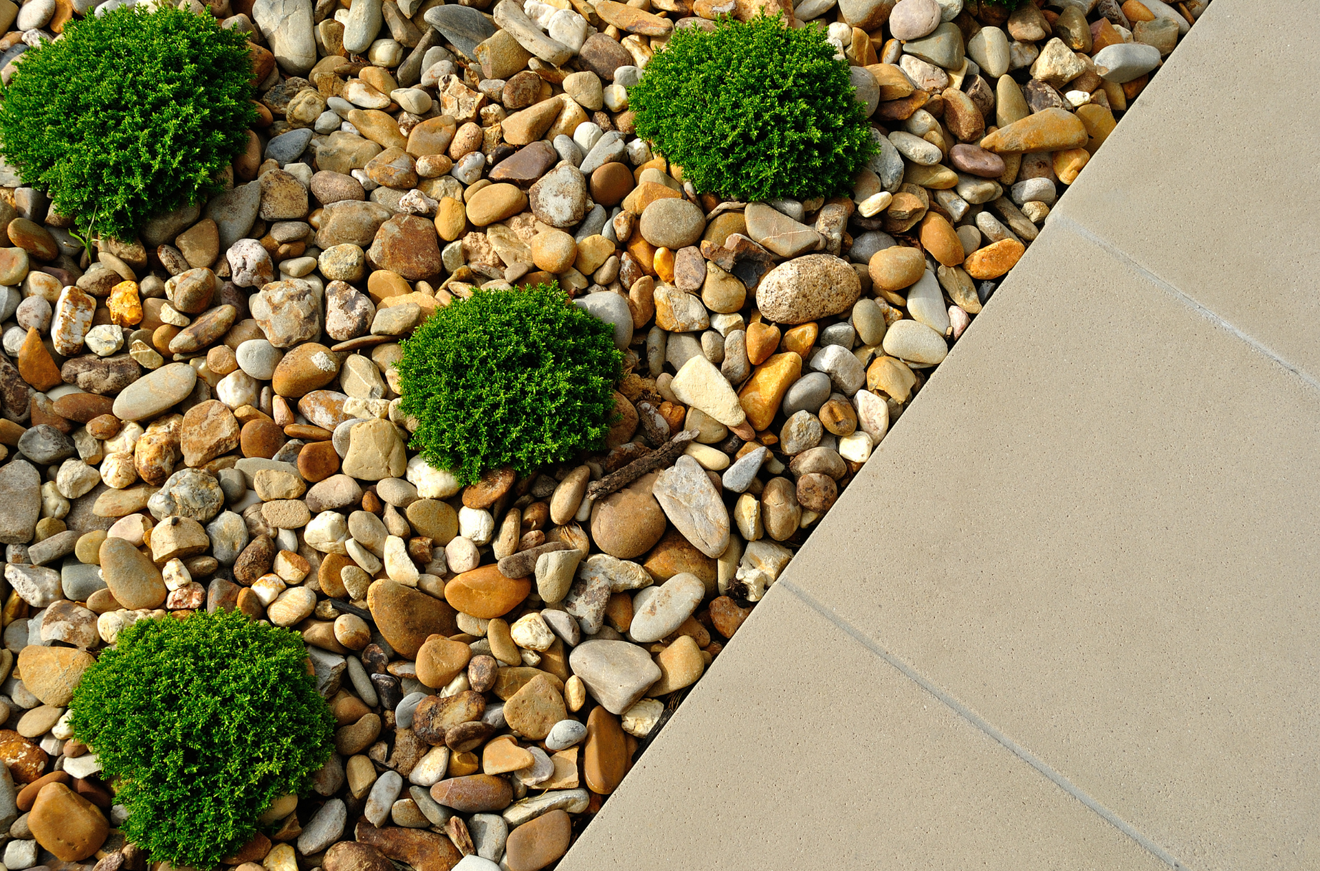 Concrete curbing next to stone flowerbed and new bushes