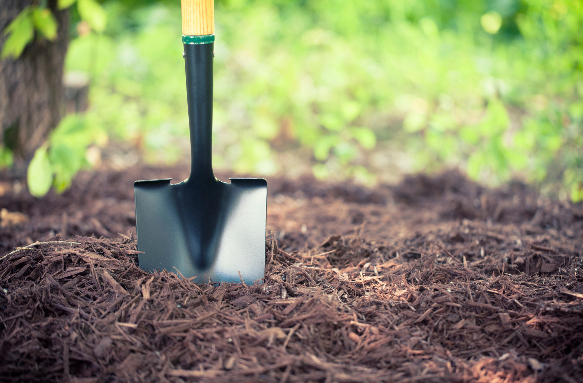 A shovel is sitting on top of a pile of mulch.
