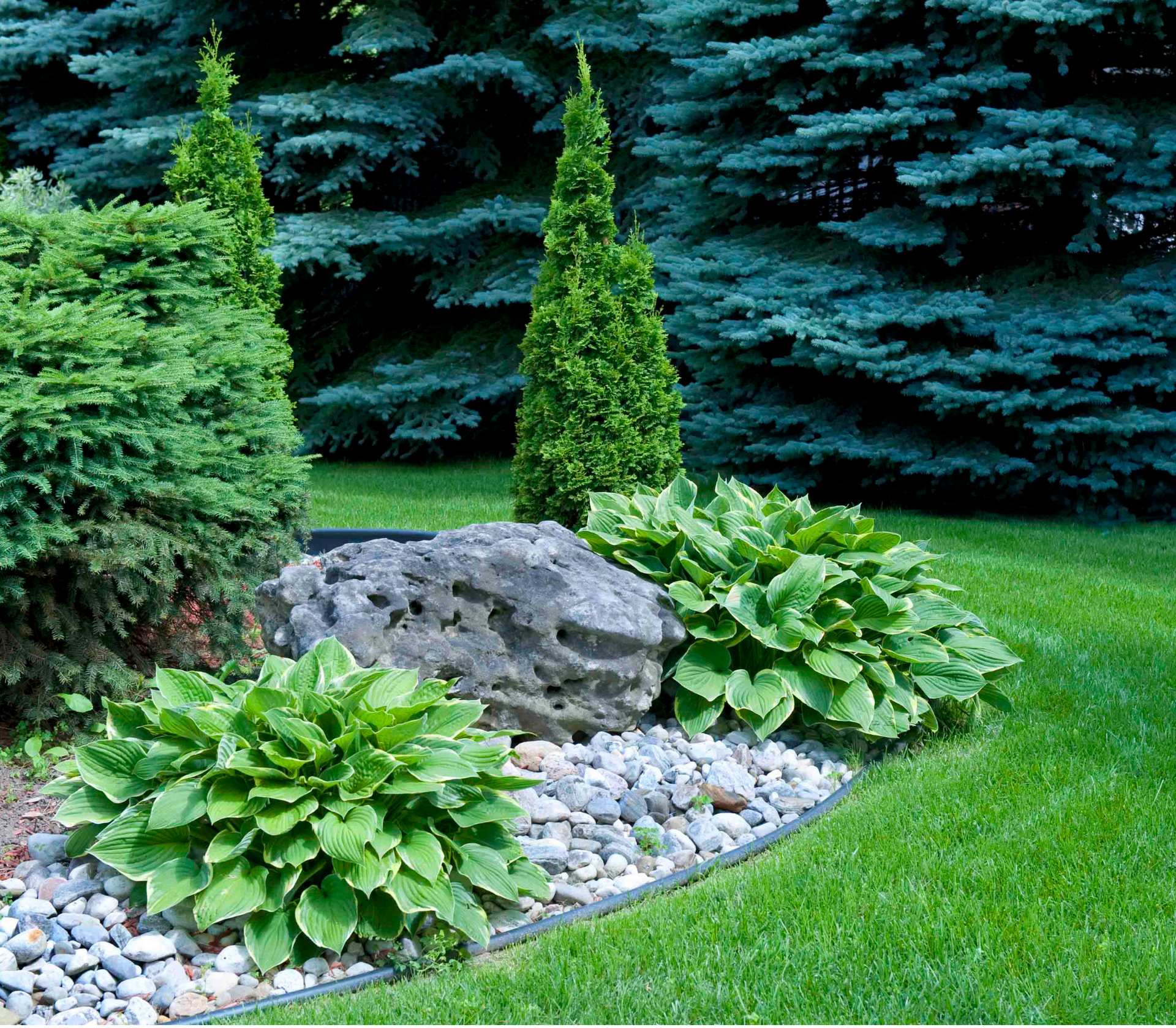 A lush green garden with shrubs and trees within edging