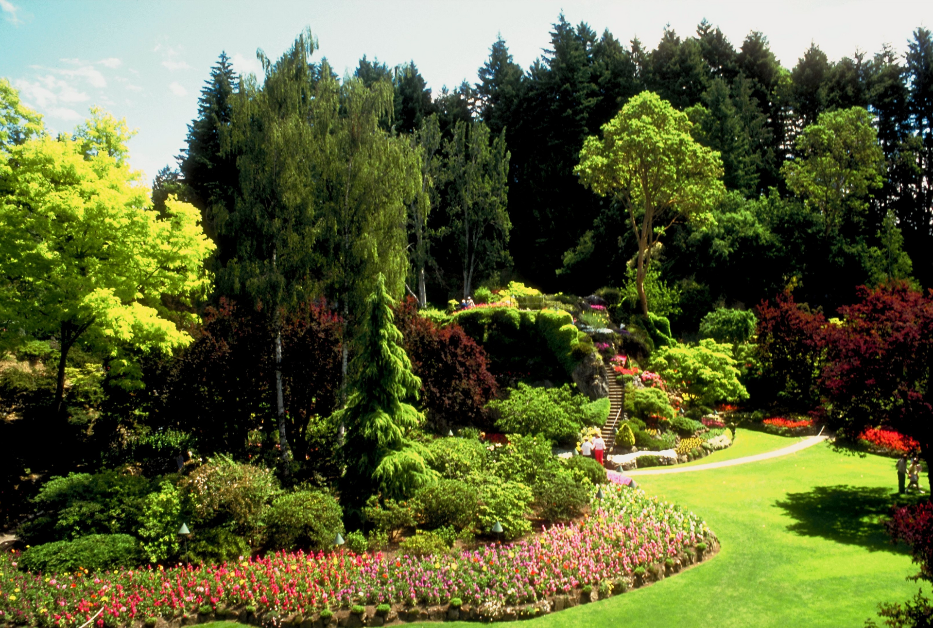 A garden filled with lots of bushes and trees