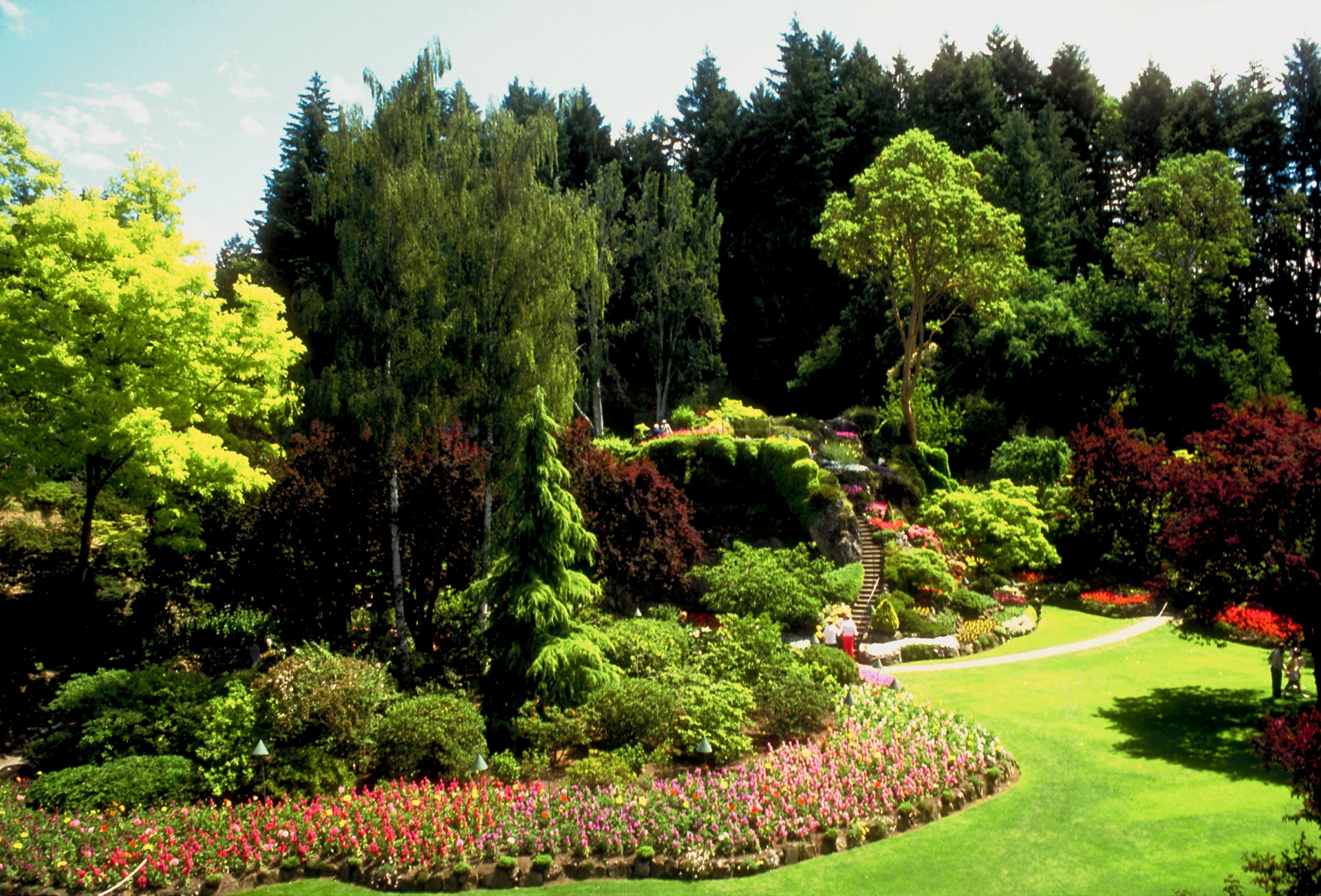 Renovated landscaping with trees, bushes, and garden