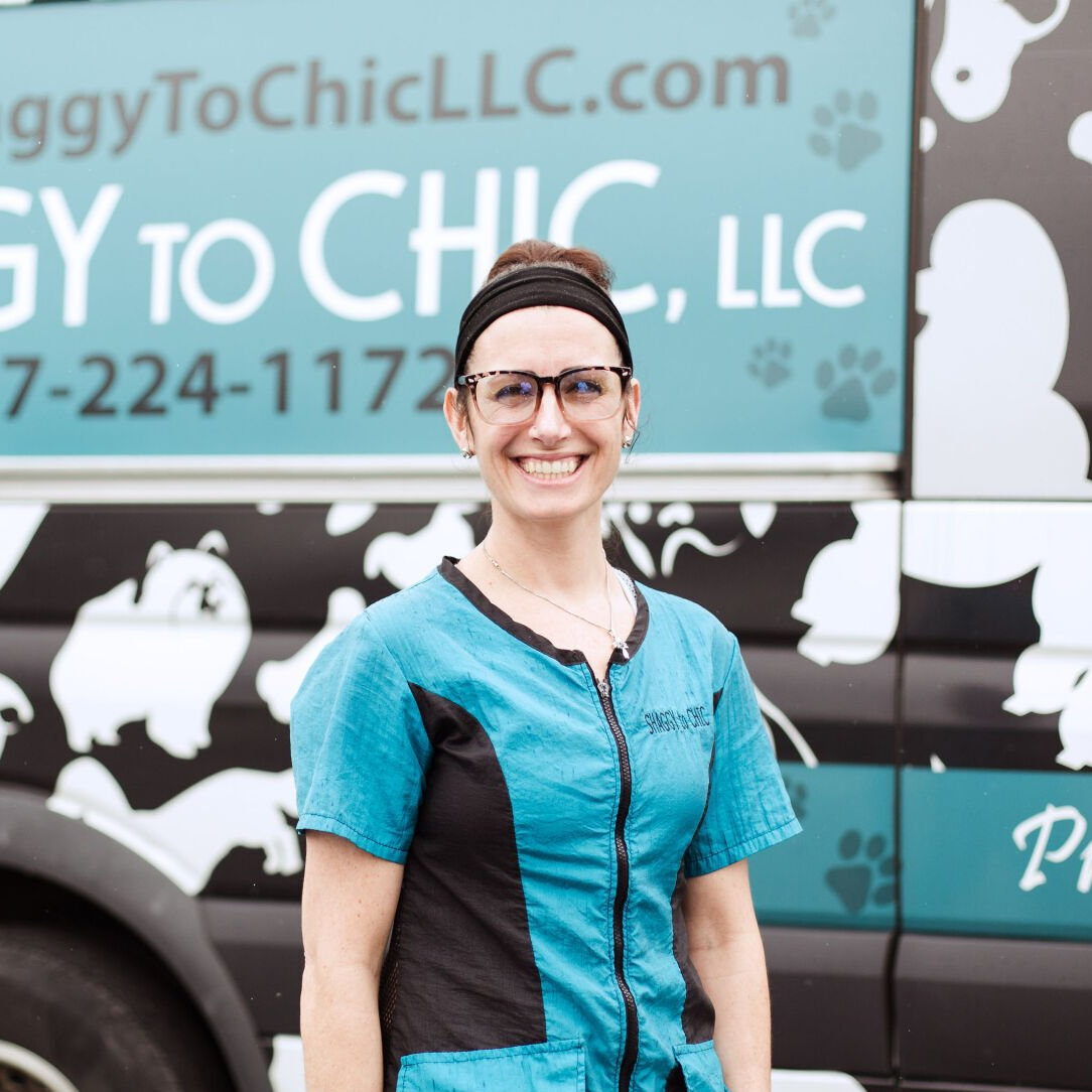 Shaggy to Chic Mobile Dog Groomer Lancaster, Pa