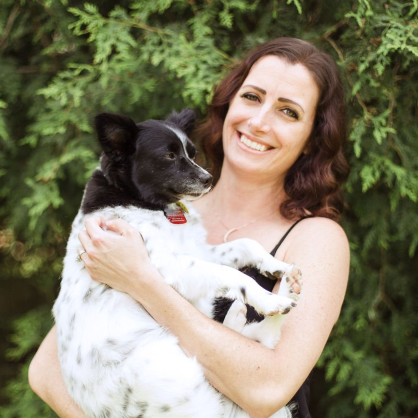 Shaggy to Chic LLC Mobile Dog Grooming in Lancaster, Pa