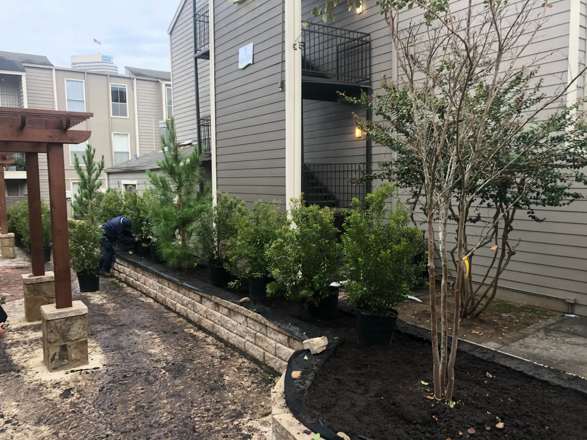 Apartment courtyard with landscaped garden beds, shrubs, and a small tree beside a building.
