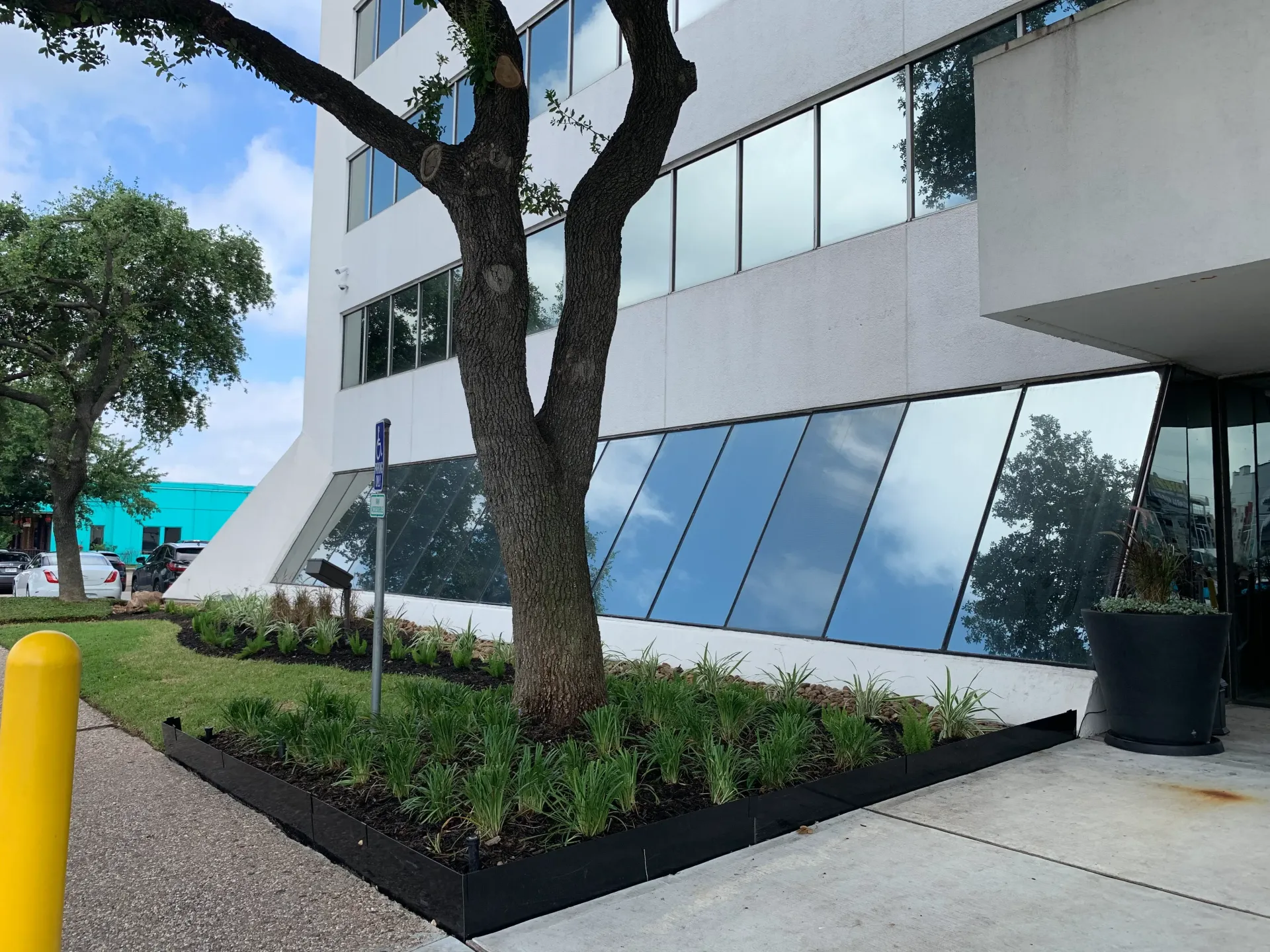 Modern office building exterior with slanted blue windows, landscaped planter, and a tree in front
