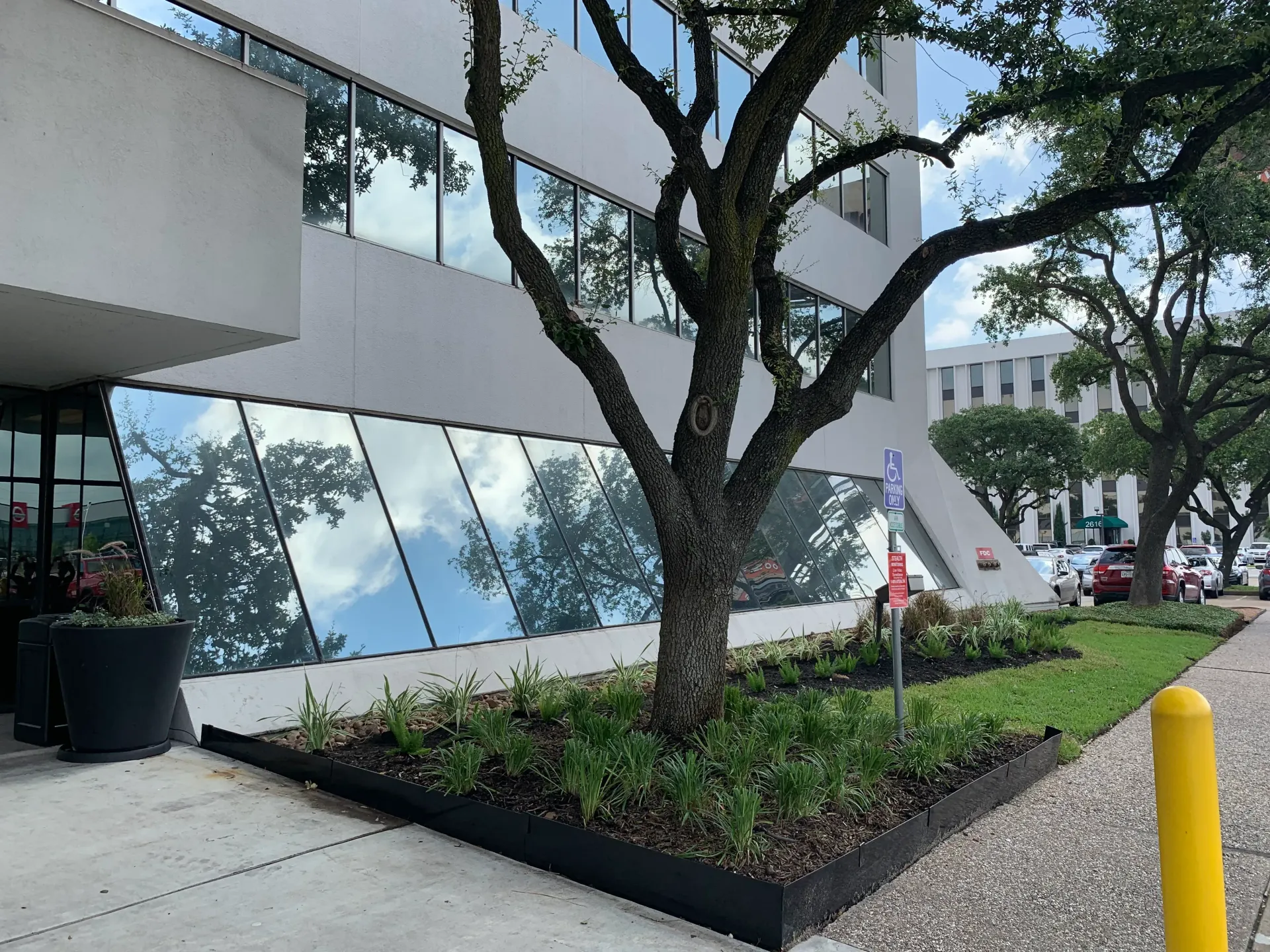 Modern building entrance with large tree, mirrored windows, and landscaped planter beside a yellow bollard