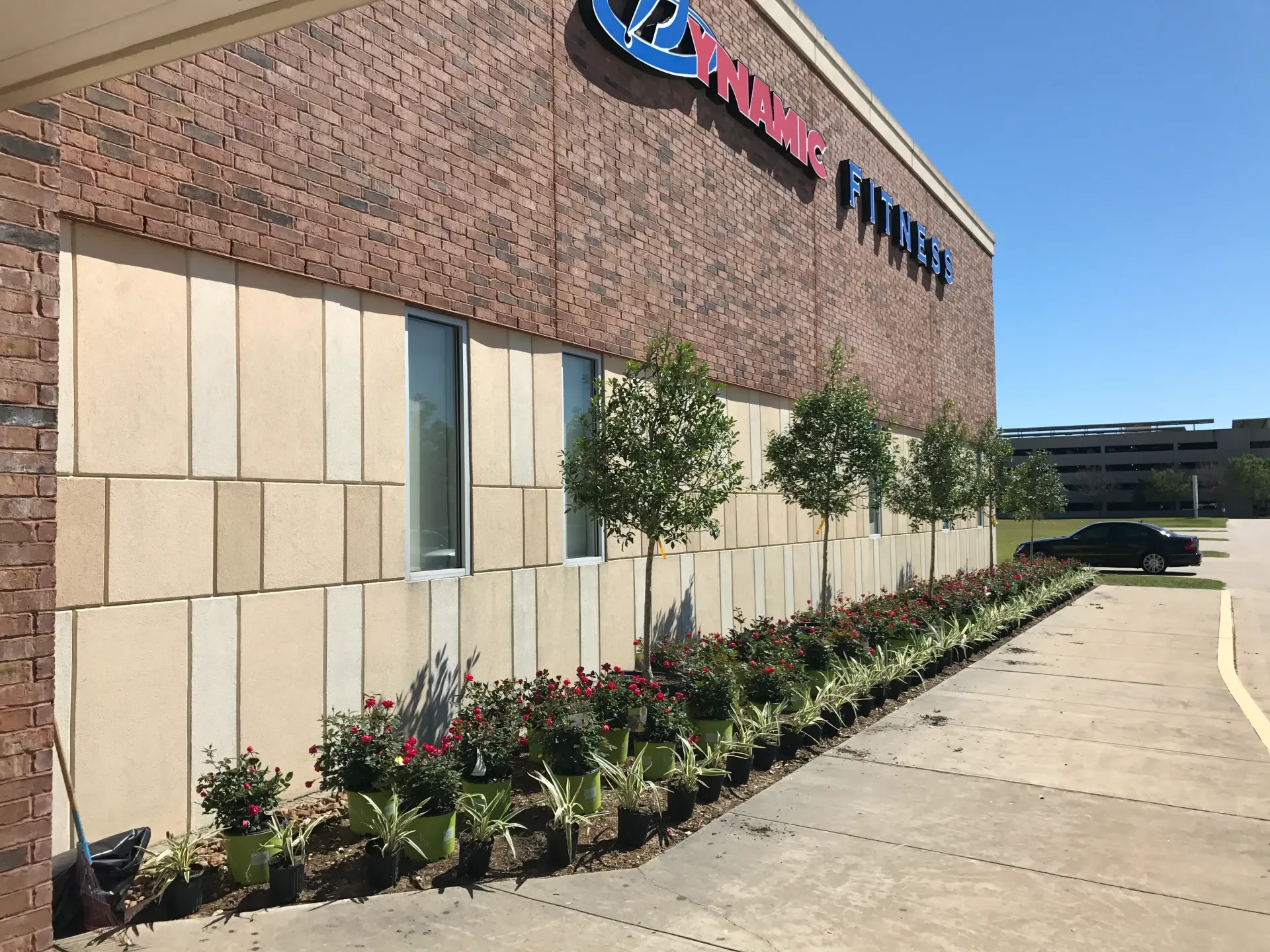 Brick storefront with landscaped flowers and small trees along a sidewalk on a sunny day