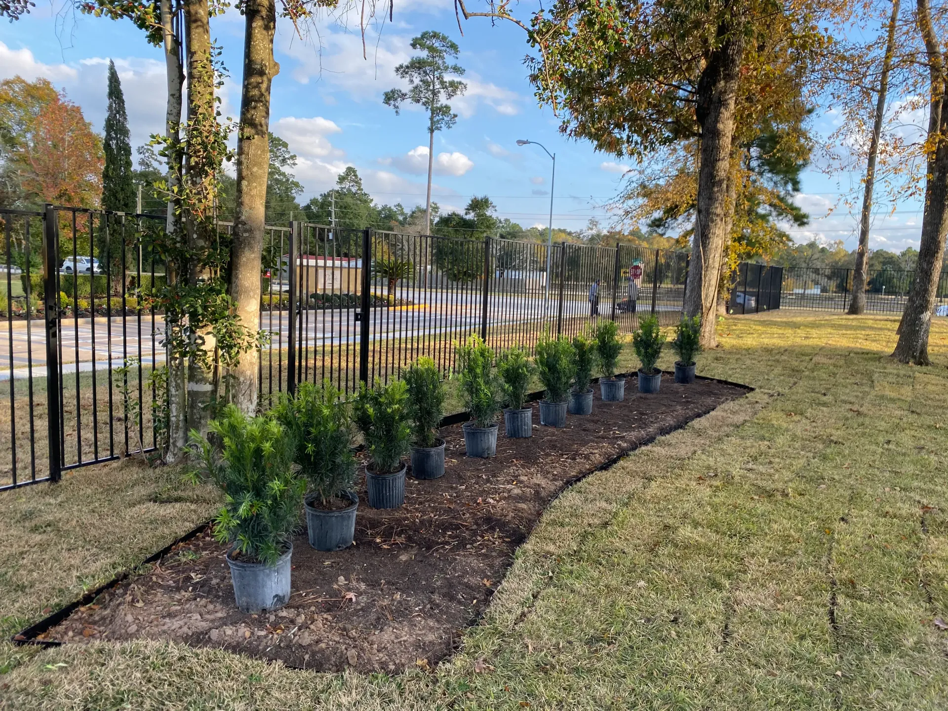 Potted shrubs along a curved mulch bed beside a black fence in a sunny park or garden