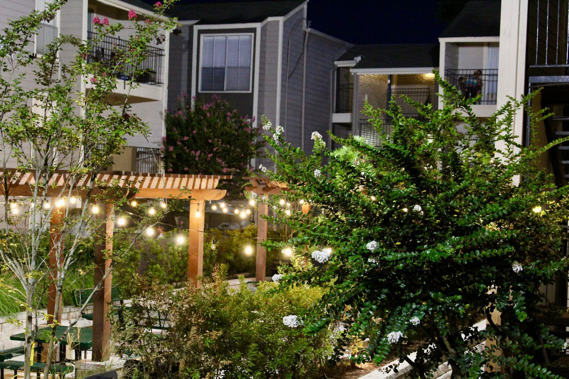 Nighttime garden with lit pergola, dense greenery, and two gray house facades in the background